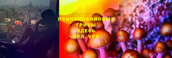 ешки Кодинск