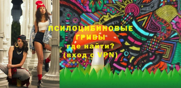 ешки Кодинск