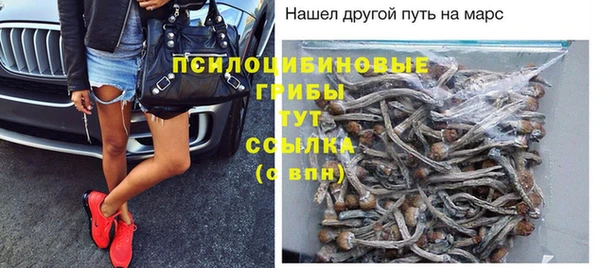 spice Костерёво