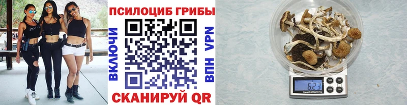 Псилоцибиновые грибы мицелий  Купить закладки  Ликино-Дулёво 